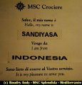 MSC Splendida - Mediterranée  (51)